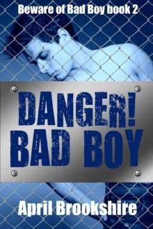 Danger! Bad Boy Read online