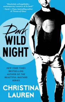 Dark Wild Night Read online