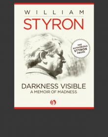 Darkness Visible: A Memoir of Madness Read online