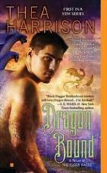 Dragon Bound Read online