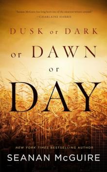 Dusk or Dark or Dawn or Day Read online
