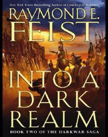 Into a Dark Realm: Book Two of the Darkwar Saga Read online