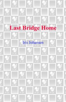 Last Bridge Home Read online