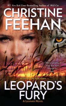 Leopard's Fury Read online