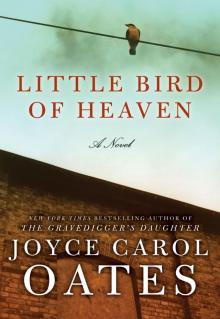 Little Bird of Heaven Read online