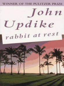 Rabbit at Rest Read online