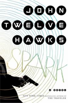 Spark: A Novel Read online