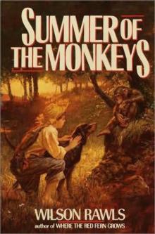 Summer of the Monkeys Read online