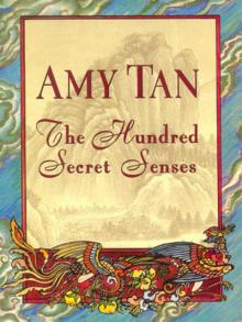 The Hundred Secret Senses Read online