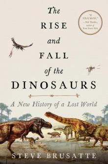 The Rise and Fall of the Dinosaurs Read online