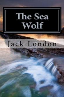 The Sea Wolf Read online