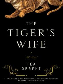 The Tiger's Wife Read online