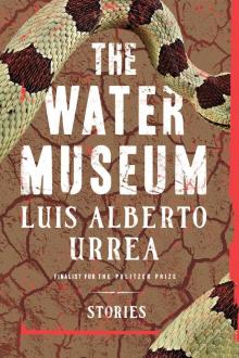 The Water Museum Read online
