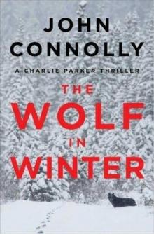 The Wolf in Winter Read online