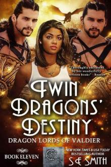 Twin Dragon’s Destiny Read online
