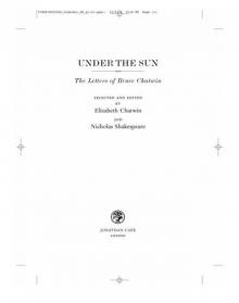 Under the Sun: The Letters of Bruce Chatwin Read online