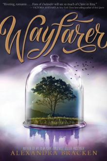 Wayfarer Read online