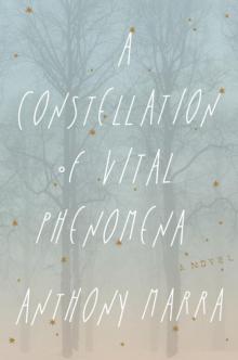 A Constellation of Vital Phenomena Read online