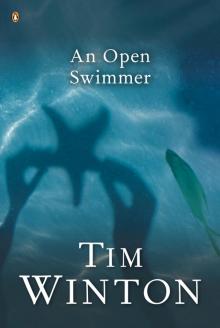 An Open Swimmer Read online