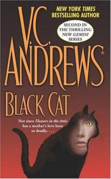 Black Cat Read online