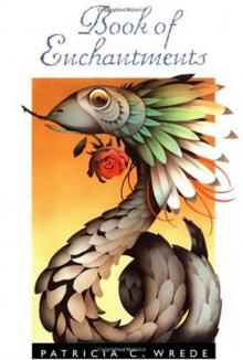 Book of Enchantments Read online