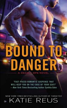 Bound to Danger Read online