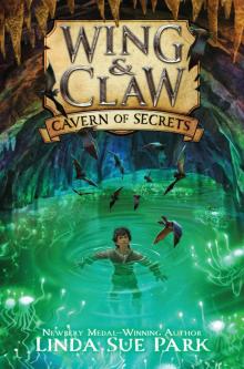 Cavern of Secrets Read online