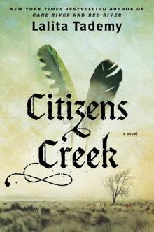 Citizens Creek Read online
