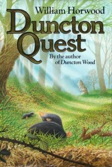 Duncton Quest Read online