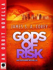 Gods of Risk Read online
