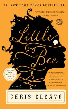 Little Bee Read online