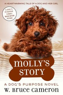 Molly's Story Read online