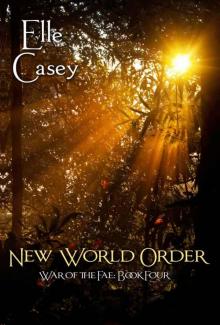 New World Order Read online