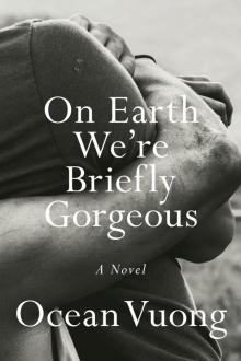 On Earth We're Briefly Gorgeous Read online
