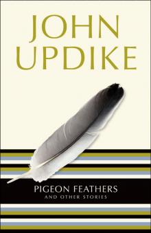 Pigeon Feathers: And Other Stories Read online