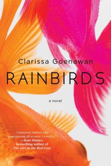 Rainbirds Read online