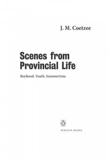 Scenes From Provincial Life: Boyhood, Youth, Summertime Read online