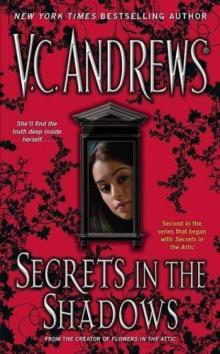 Secrets in the Shadows Read online