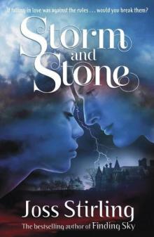 Storm and Stone Read online