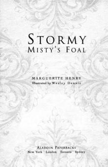 Stormy, Misty's Foal Read online