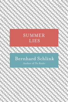 Summer Lies: Stories Read online