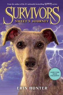 Survivors: Sweet's Journey Read online