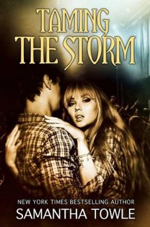 Taming the Storm Read online