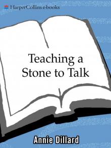 Teaching a Stone to Talk: Expeditions and Encounters Read online