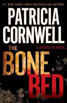 The Bone Bed Read online