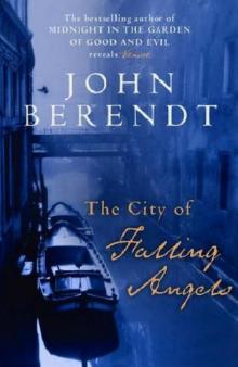The City of Falling Angels Read online