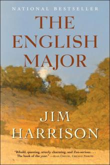 The English Major Read online