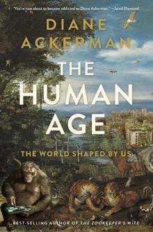 The Human Age: The World Shaped by Us Read online