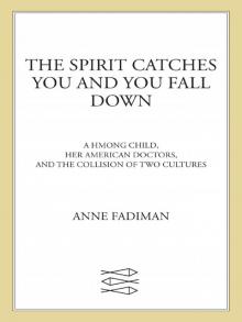 The Spirit Catches You and You Fall Down Read online