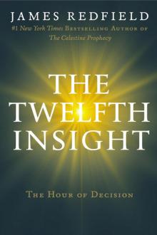 The Twelfth Insight: The Hour of Decision Read online